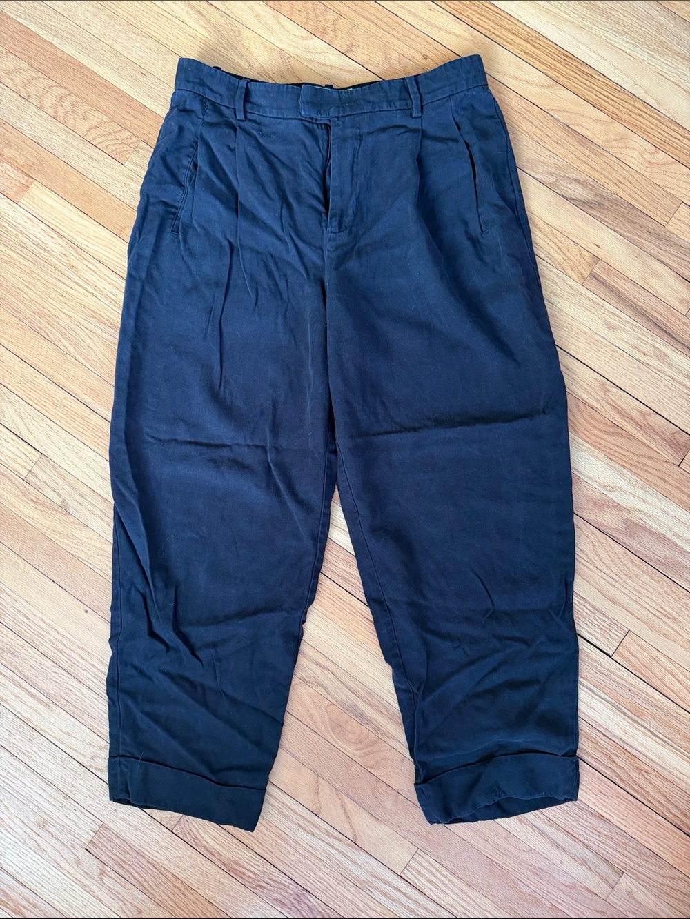 Everlane Pleated Tapered Pants